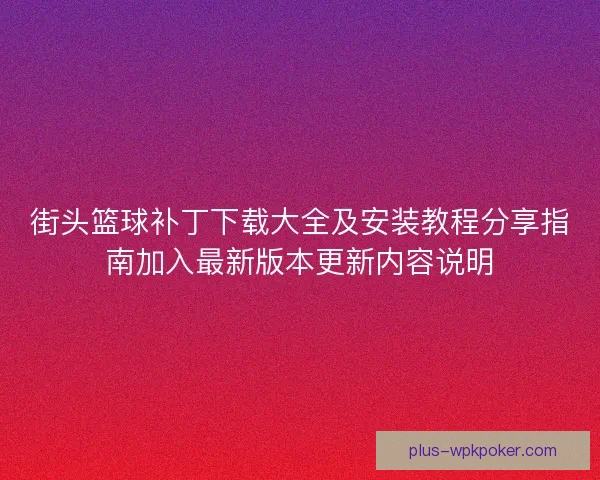 街头篮球补丁下载大全及安装教程分享指南加入最新版本更新内容说明